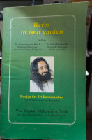 Herbs in your garden