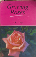 Growing roses